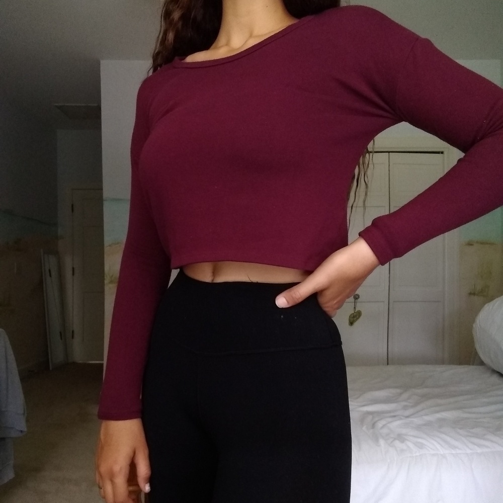 Brandy♥️Melville Long Sleeve Crop Top